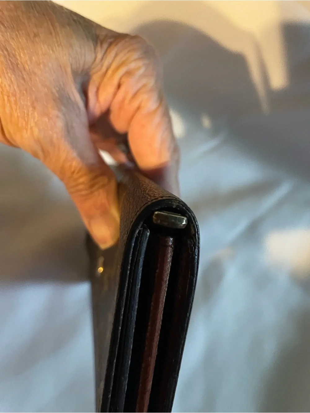 Louis Vuitton signature lv